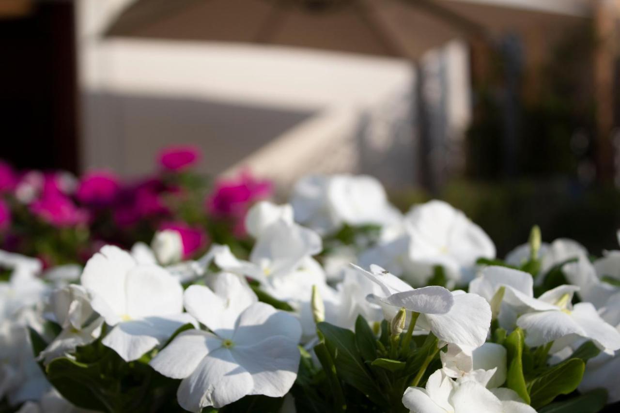 Relais Villa Montedonzelli Napoli Bagian luar foto