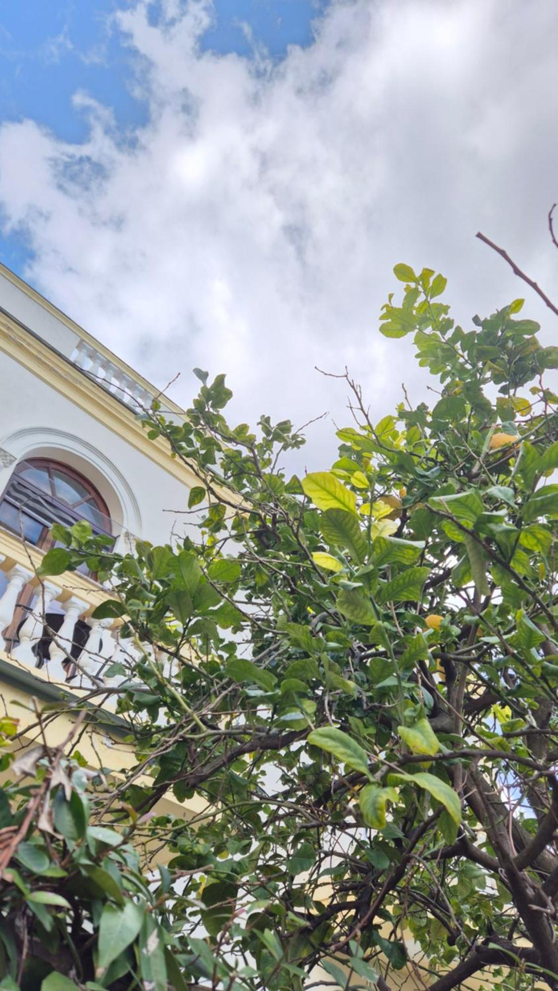 Relais Villa Montedonzelli Napoli Bagian luar foto